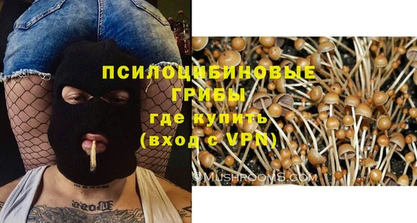 хмурый Арсеньев