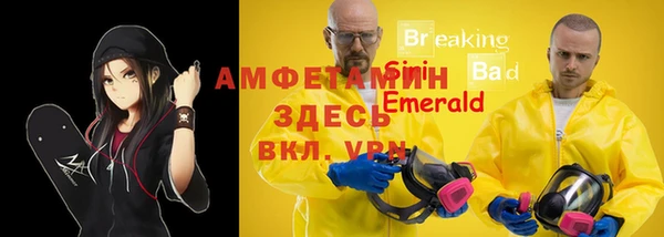 хмурый Арсеньев