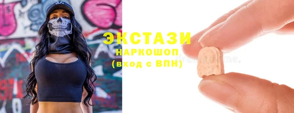 хмурый Арсеньев