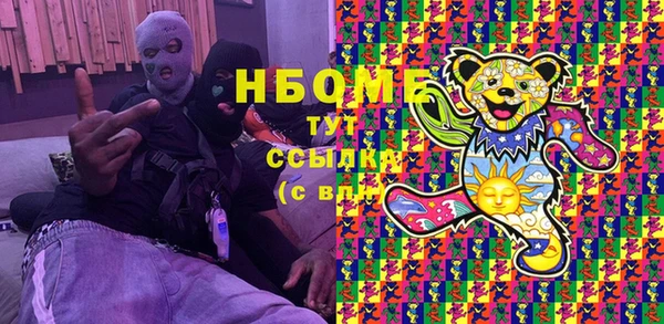хмурый Арсеньев