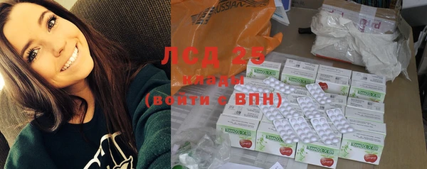 хмурый Арсеньев